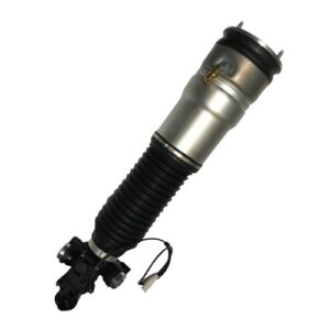 BMW 7-Series F01/F02 Rear Right Air Suspension Shock Absorber
