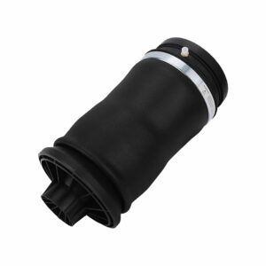 W251 Rear Air Spring Balloon